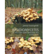 Basidiomycetes of the Góry Świętokrzyskie Mts. A Checklist