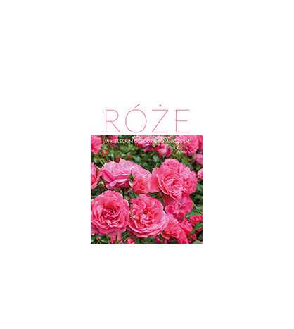 Róże w kieleckim ogrodzie botanicznym